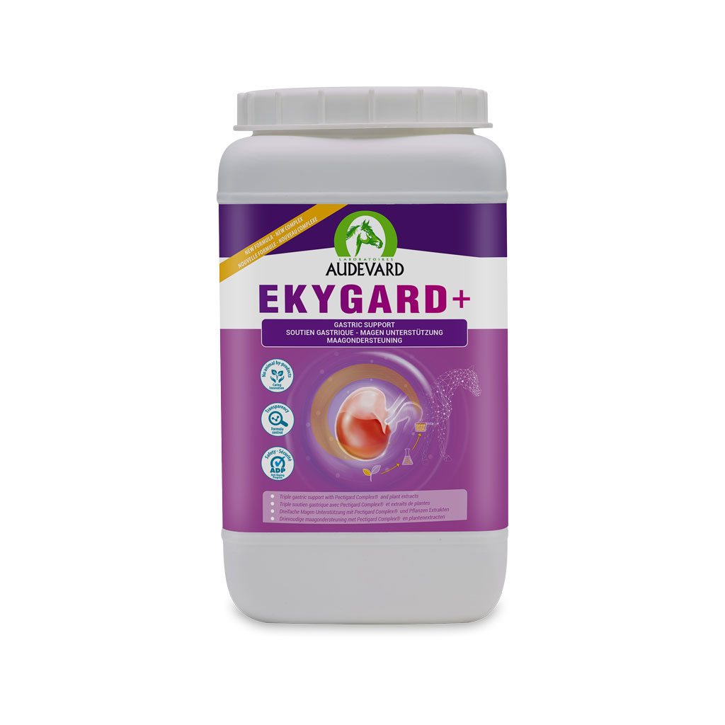 Ekygard+ 2,4 kg