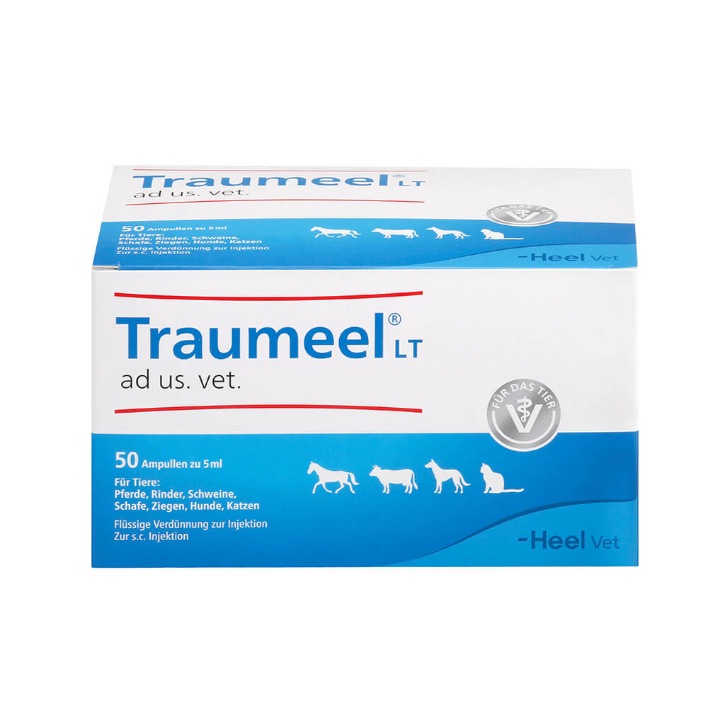 Traumeel® LT ad us. vet. 50 x 5 ml