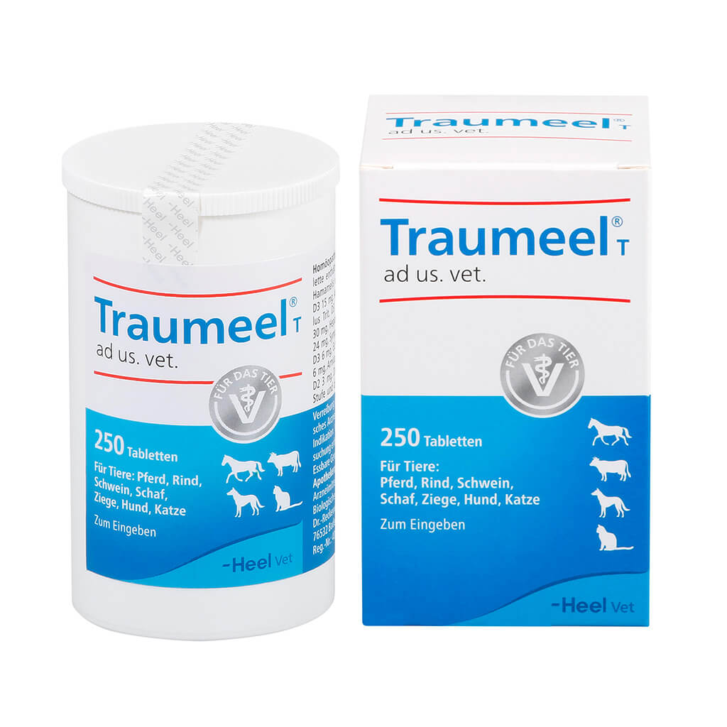 Traumeel T ad us. vet. tablet 250 stk
