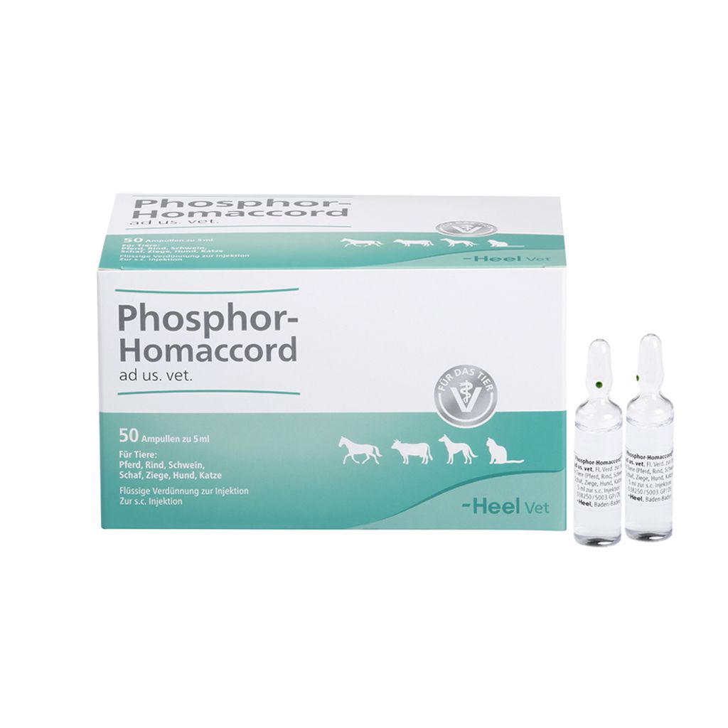 Phosphor-Homaccord ad us vet 50 x 5 ml