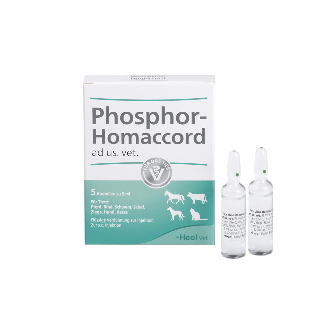 Phosphor-Homaccord ad us vet 5 x 5 ml